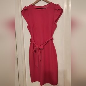 Magenta Dress - Size Large